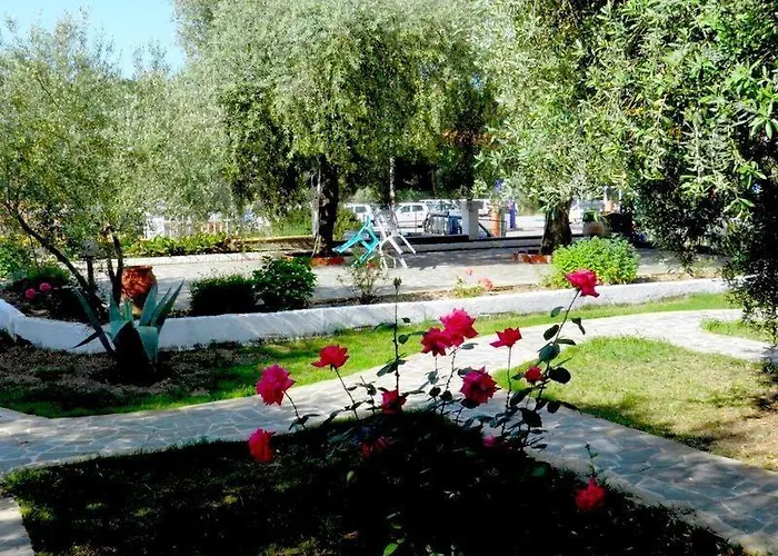 Asterias * Астрис
