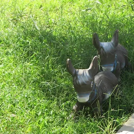 Asterias * Asztrída