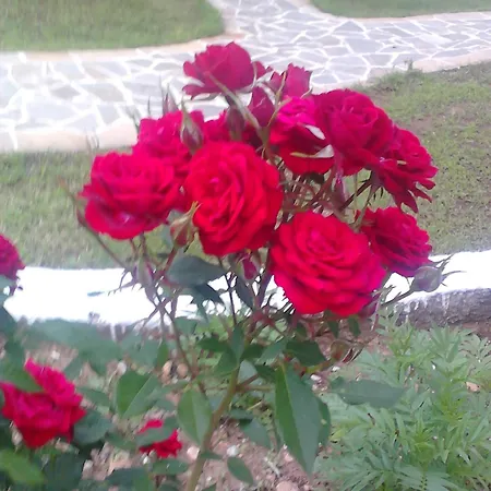 Asterias Apartman Asztrída