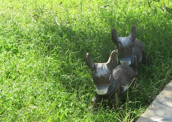 Asterias * 阿斯特里斯